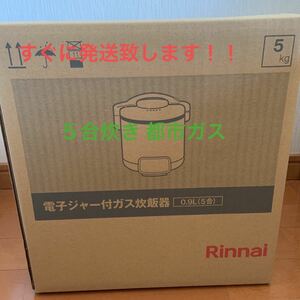 Rinnai ガス炊飯器 RR-050VQ(DB)都市ガス