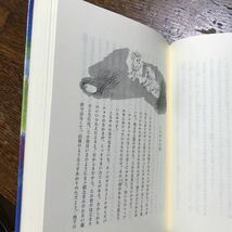 【1994年19刷】くらやみの谷の小人たち　いぬい とみこ（作）吉井 忠（絵）福音館書店 　[as43]　　_画像2