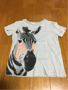 ザラ ZARA ボーイズTシャツ シマウマ 544