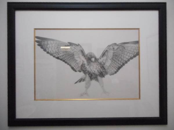 Pencil drawing of an eagle by Bragg. A wonderful pencil drawing. Authentic., Artwork, Painting, acrylic, Gash