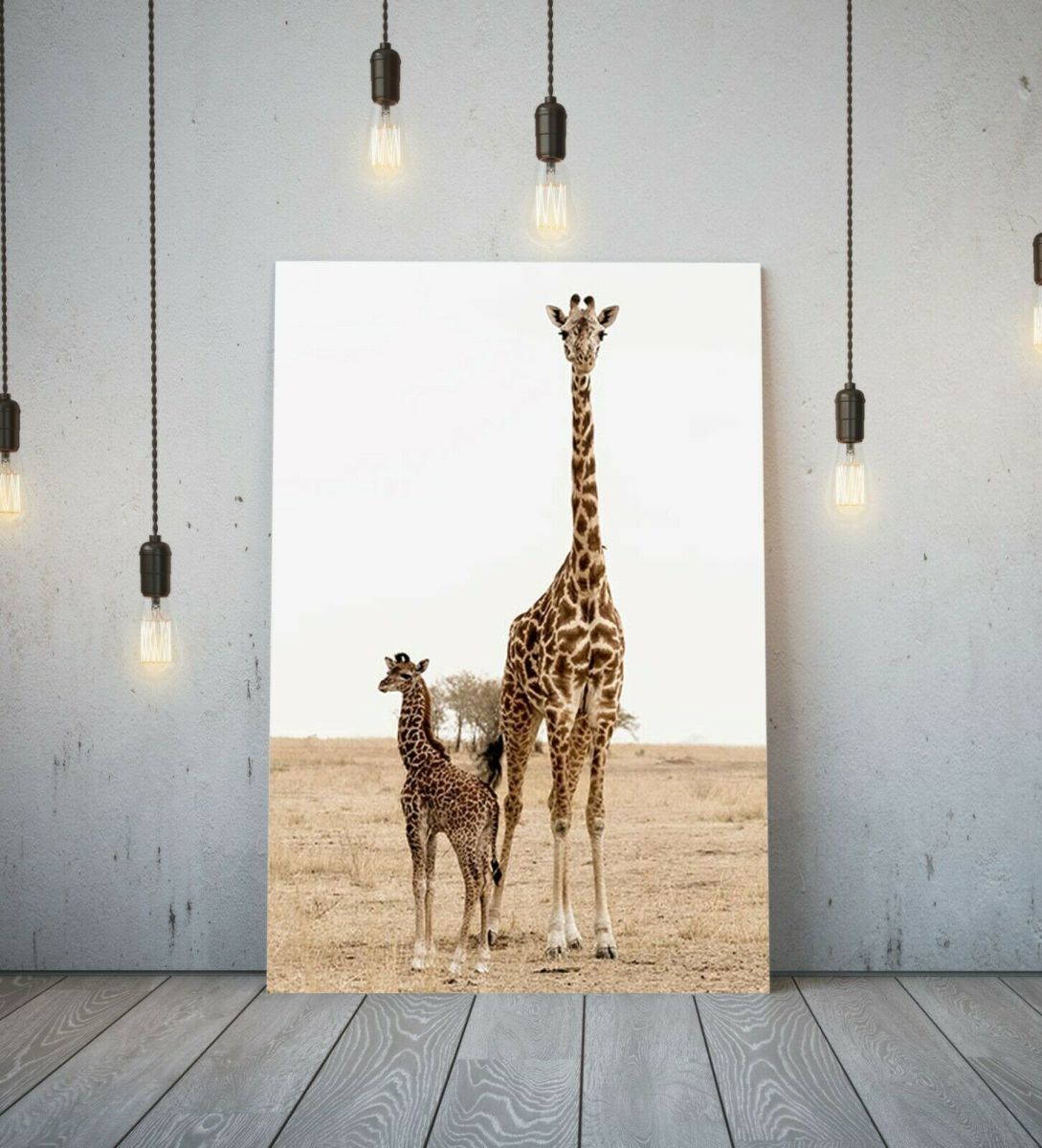 Жираф Высокое качество холст рамка плакат картина А1 художественная панель скандинавский жираф животное животное за рубежом фото товары живопись разное интерьер 4, Печатные материалы, Плакат, другие