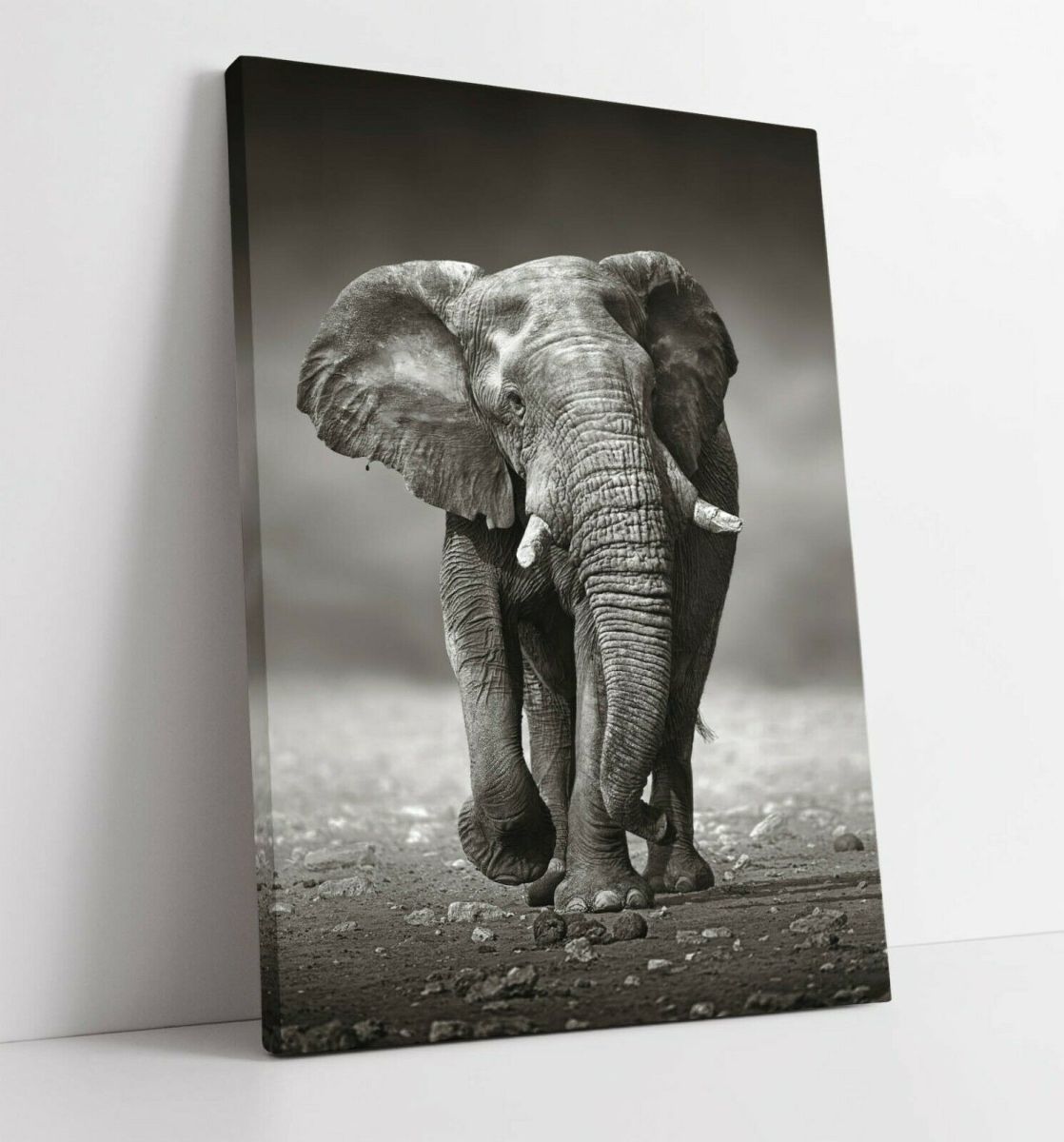 Elefante Marco de lienzo de alta gama Póster Imagen A1 Panel artístico Elefante nórdico Animal Productos fotográficos en el extranjero Pintura Varios interiores 1, Materiales impresos, Póster, otros