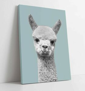 Art hand Auction Alpaca luxury canvas frame poster picture A1 art panel Nordic animal animal overseas photo goods painting miscellaneous goods interior, Printed materials, Poster, others