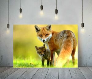 Art hand Auction Fox High-end Canvas Frame Poster Picture A1 Art Panel Nordic Fox Animal Overseas Photo Goods Painting Miscellaneous Interior Baby Fox 2, Printed materials, Poster, others