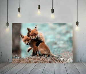 Art hand Auction Fox High Quality Canvas Frame Poster Picture A1 Art Panel Nordic Fox Animal Overseas Photo Goods Painting Miscellaneous Interior Baby Fox 1, Printed materials, Poster, others