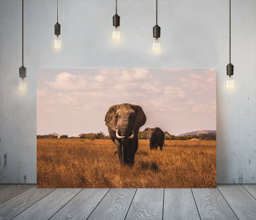 Éléphant haut de gamme toile cadre affiche photo A1 panneau d'art éléphant nordique animal d'outre-mer photo marchandises peinture divers intérieur 5, Documents imprimés, Affiche, autres