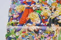 レア★当選品 ドラゴンボール大全集 特大ポスター　(管理96957155)_画像7