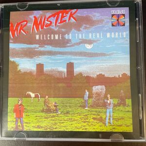 ミスター・ミスター ウェルカム・トゥ・ザ・リアル・ワールド 輸入盤中古CD