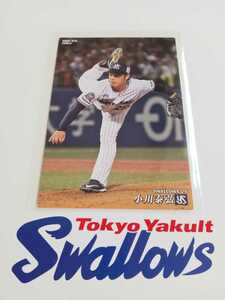 NPB カルビープロ野球チップス 2020年 第1弾 レギュラーカード セ・リーグ 東京ヤクルトスワローズ 070 小川泰弘 背番号 29 エース 右腕