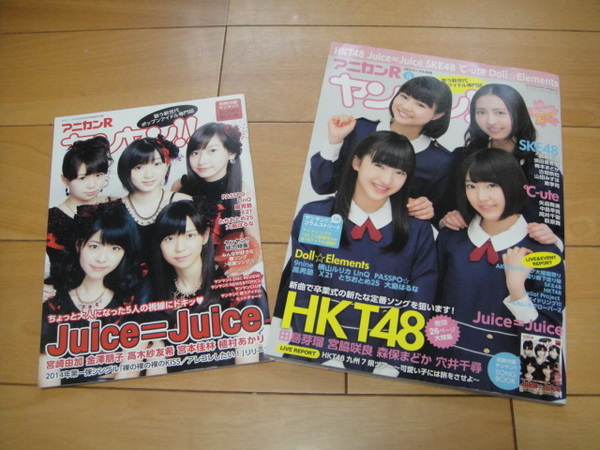 ◆ アニカンR ヤンヤン vol.15 2014年 HKT48SKE48℃-uteももクロとちおとめ25古畑奈和穴井千尋高柳明音田島芽瑠宮脇咲良Juice=Juice ◆