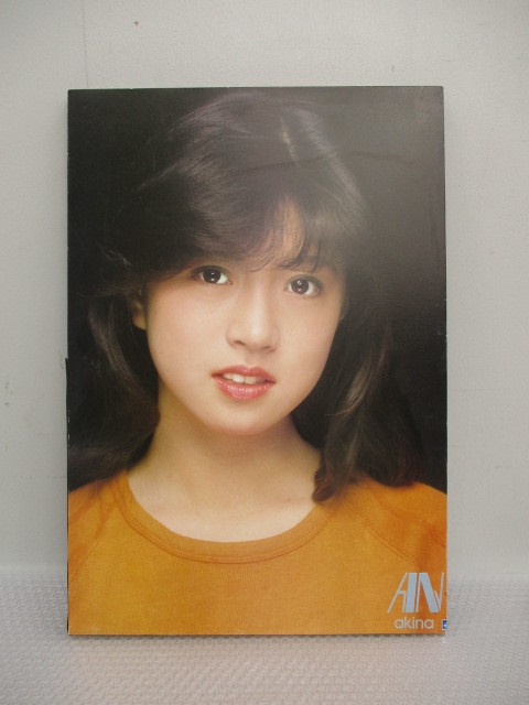 100%安い ☆中森明菜・木製パネルポスター☆ アイドル - education