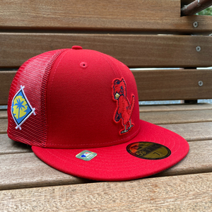 USA正規品 【7.3/8】 限定 NEWERA ニューエラ 59FIFTY スプリングトレーニング メッシュ キャップ SPRING TRAINING カージナルス Cardinals