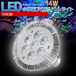E26口金 14W 珊瑚 植物育成 水草用 水槽用 LED アクアリウムスポットライト 青7灯 【QL-05】