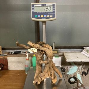 流木 古木 古材 枯木 置物 オブジェ インテリア 高さ37cm 1.2kg