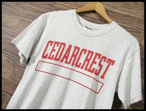 送料無料 G② 90s 後期 JERZEES ジャージーズ CEDARCREST ビッグ プリント 半袖 Tシャツ カットソー S 杢グレー