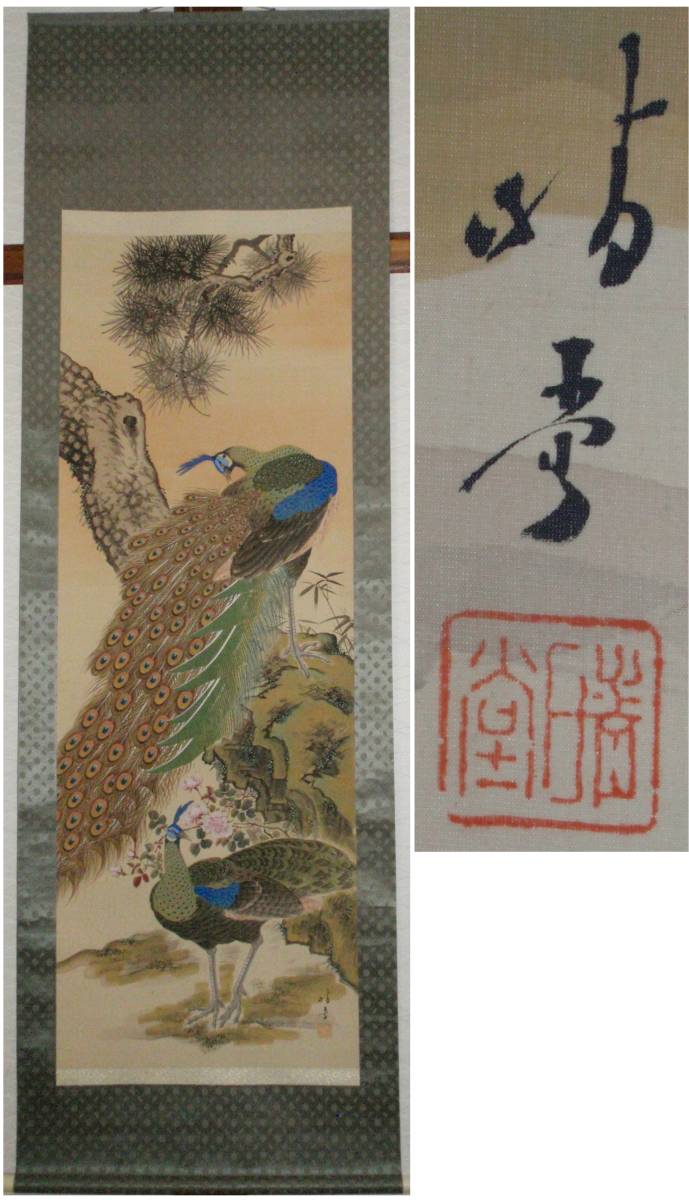 [Trabajo auténtico] Pergamino colgante Harudo Nagai Peacock, cuadro, pintura japonesa, flores y pájaros, pájaros y bestias