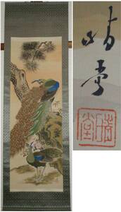 Art hand Auction [Authentic] Peacock hanging scroll by Seido Nagai, Painting, Japanese painting, Flowers and Birds, Wildlife