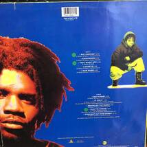 DAS EFX / DEAD SERIOUS LP inc MIC CHECKA / JUSSUMMEN / THEY WANT EFX_画像2