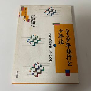 Q&A少年非行と少年法 : 少年は「凶悪化」しているか