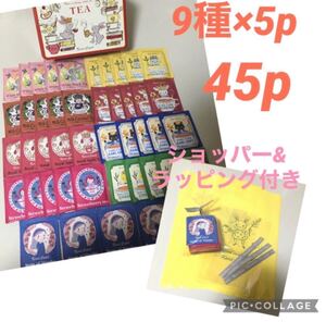 カレルチャペック デイリーティーバッグ 45p