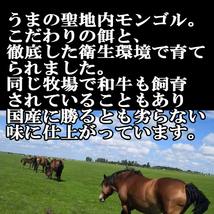 上物馬ハラミ刺し【馬刺し】500ｇ小分け真空パック ヘルシー赤身 馬肉 桜肉 刺身業務用　送料一律300円_画像3