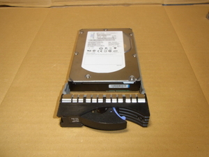 ◎Seagate ST373455SS/IBMマウンタ/73G/SAS/15K/2台あり◎(SH515)