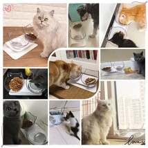 猫 えさ 皿 猫 食器 ペット用品 食器 ボウルセット フードボウル ペットボウル 食べやすい滑り止め_画像5