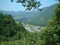 こだわりのお茶屋さんのほうじ茶■ほうじ茶　200ｇ平袋■香ばし_画像2