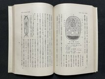 ｊ■□　戦前　書籍　岩波全書　細胞学概論　著・山羽儀兵　昭和10年第2刷　岩波書店/G26_画像7