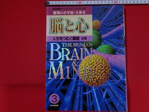 ｍ■□　NHKサイエンススペシャル　驚異の小宇宙・人体Ⅱ　3　脳と心　人生をつむぐ臓器　記憶　1993年第1刷発行　書籍　/I36