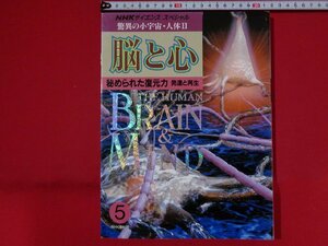 ｍ■□　NHKサイエンススペシャル　驚異の小宇宙・人体Ⅱ　5　脳と心　秘められた復元力　発達と再生　1995年第5刷発行　書籍　/I36