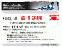 メール便メール便送料無料 オーディオハーネス トヨタ 10ピン 6ピン 5ピン 車速 コネクタ セット PO10S-カルディナ_画像2