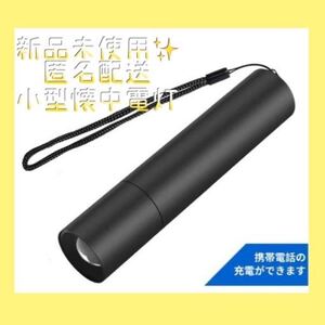 小型懐中電灯 USB充電可能 5モード 防災グッズ コンパクト キャンプ