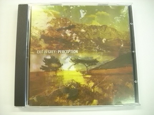 [CD] EXIT IN GREY / PERCEPTION イグジットイングリーン パーセプション 2008年 ロシア アンビエント ドローン ◇r30605