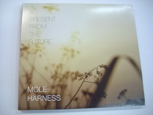 [CD] MOLE HARNESS / A PRESENT FROM THE FUTURE モール・ハーネス アンビエント エレクトロニカ umi 01 ◇r30605