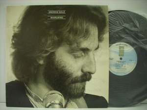 ■LP　ANDREW GOLD / WHIRLWIND アンドリュー・ゴールド 1980年4作目 ◇r210224