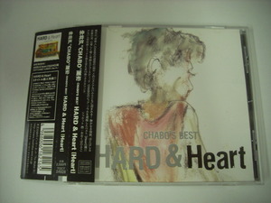 ■CD　仲井戸CHABO麗市 / CHABO’S BEST HARD & Heart 帯付 チャボ ベスト ◇r30708