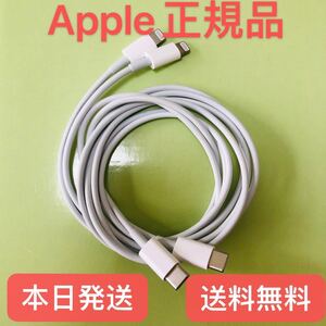AirPods pro 純正USB-CーLightningケーブル iPhoneコード