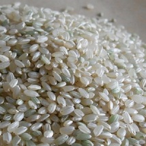 米ぬか　無農薬　自然栽培　無肥料　600g　　米糠　小澤農園　ワックス代わりに_画像4