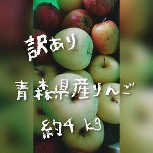 青森県産りんご リンゴ 訳あり 金星 ふじ 青森 津軽 4キロ 家庭用 黄色いリンゴ 赤いリンゴ