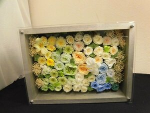  preserved flower . flower in the case TH6.004 /07