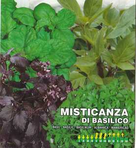 ミックスバジル 種子 100粒 12種類Mix MISTICANZA DI BASILICO【2025.06】ハーブ FRANCHI社