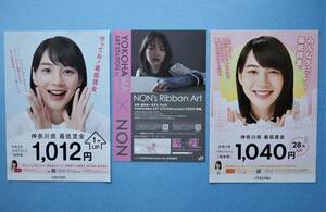 【３種】 のん 能年玲奈 ☆ 「 守ってね！最低賃金。 」チラシ 厚生労働省 & 「 NON's Ribbon Art 」チラシ ※チラシのみ ※即決有