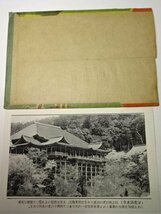 大京都 古二条城等 薄い絵葉書 レターパックライト可　0512U15G_画像8