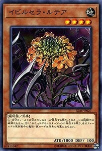 遊戯王 【IGAS】 イビルセラ・ルテア　ノーマル　JP027　IGNITION ASSAULT　イグニッション・アサルト