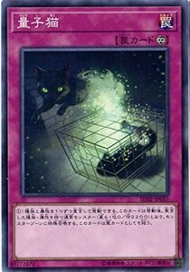 遊戯王　量子猫　ノーマル　SD32-JP037　サイバース・リンク