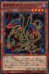 遊戯王　捕食植物モーレイ・ネペンテス　パラレル　SPFE-JP007 フュージョン・エンフォーサーズ