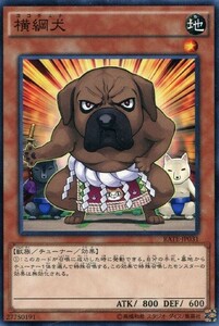 遊戯王　RATE-JP031　横綱犬　ノーマル　レイジング・テンペスト