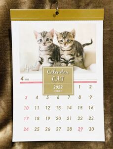 【4月始まり】 2022年 可愛い仔猫のコンパクト壁掛けカレンダー 日本製