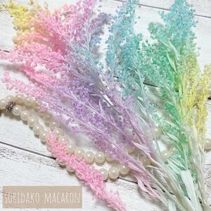 ソリダコ ブリザーブドフラワー ハーバリウム 花材 加工花材 レジン